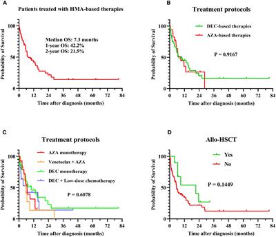 Pulmonary infection associated with immune dysfunction is associated with poor prognosis in patients with myelodysplastic syndrome accompanied by TP53 abnormalities